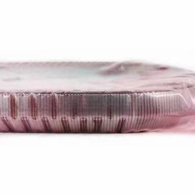2KG JF017E RE0F10D Αλυσίδα ζώνης κιβωτίου ταχυτήτων για TEANA X Trail QASHQAI 901074 901089 901096